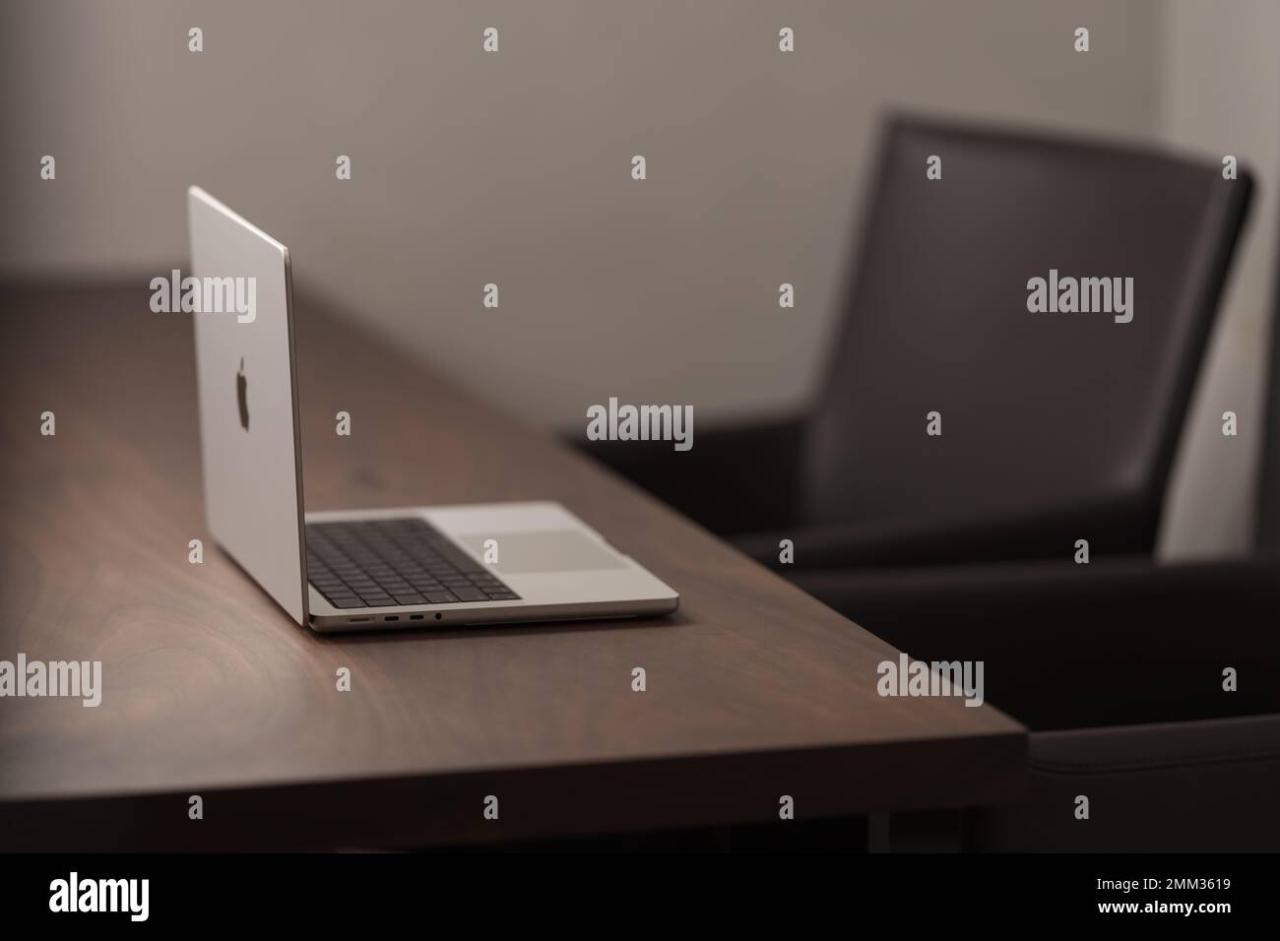 Dari Meja Rumah ke Dunia Global: Petualangan Seru Jadi Freelancer